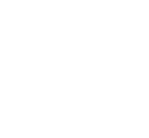 A.E.L. Flexaulic Logo